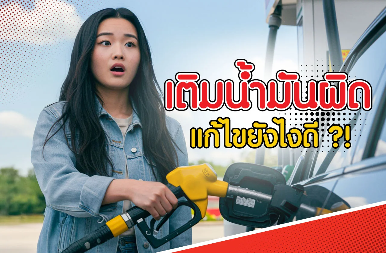 อาชีพอิสระมีอะไรบ้าง